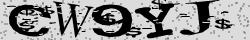 Retype the CAPTCHA code from the image