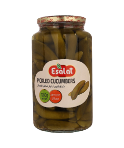 بسته سئو خیارشور ممتاز اصالت