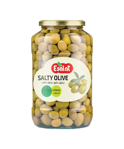 زیتون شور معمولی اصالت